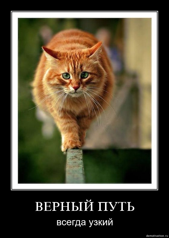 Василь Думнич | Виноградов