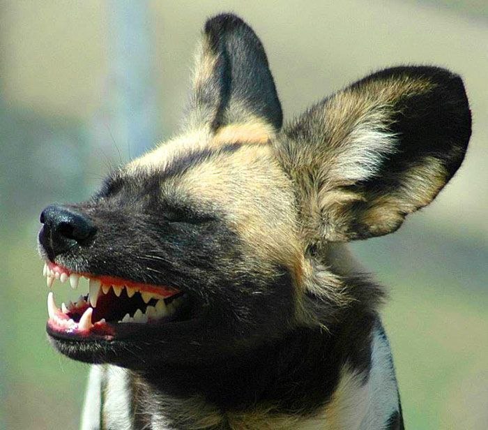 Алексей Ануфриев | Новосибирск