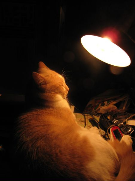 №154, Виталий Владимирович, Киев №154, Виталий Владимирович, Киев