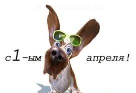 Илона Сидорова | Петрозаводск