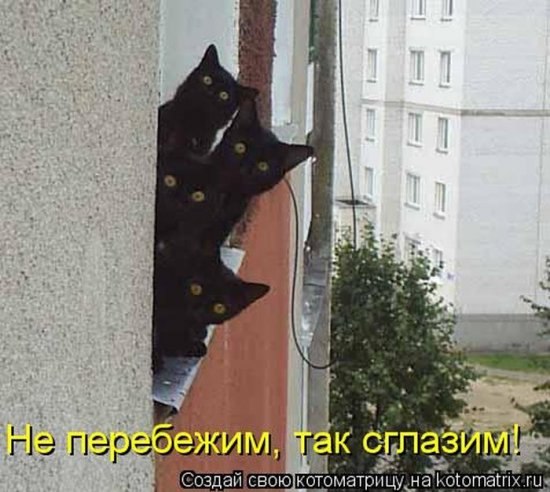 Василь Атаманчук Володимирович | Бережаны