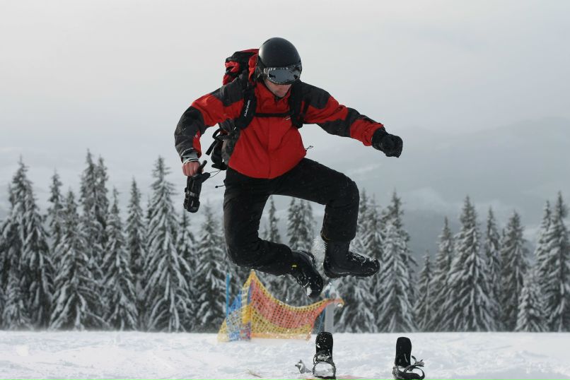 Владимир Манул | 