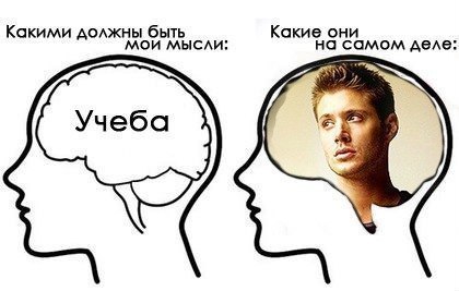 Лина Волкова | Санкт-Петербург