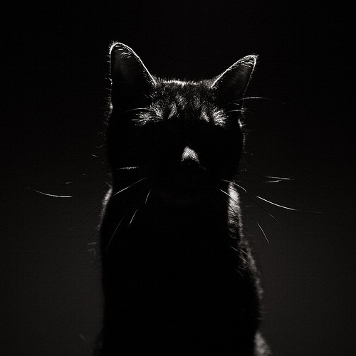 №195, Nate Adams, Москва №195, Nate Adams, Москва