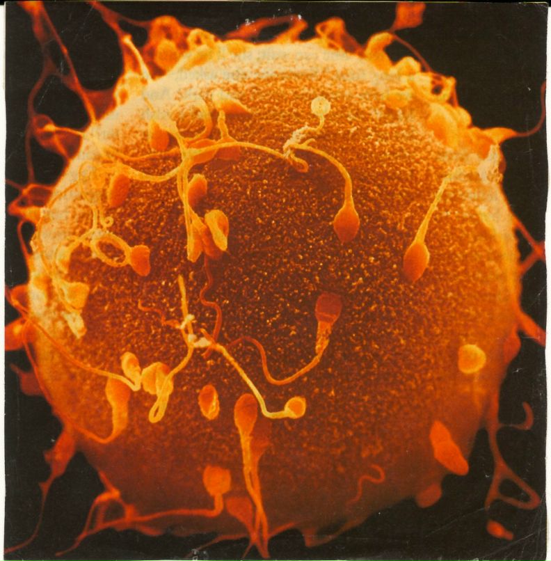 Максим Маяк | Минск