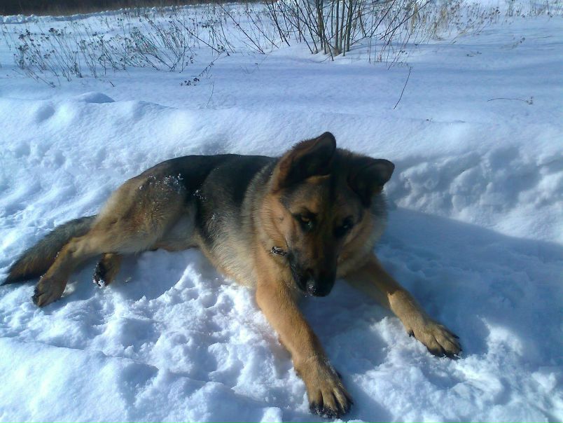 №36, Влад Павлов, 45 лет, Тирасполь №36, Влад Павлов, 45 лет, Тирасполь