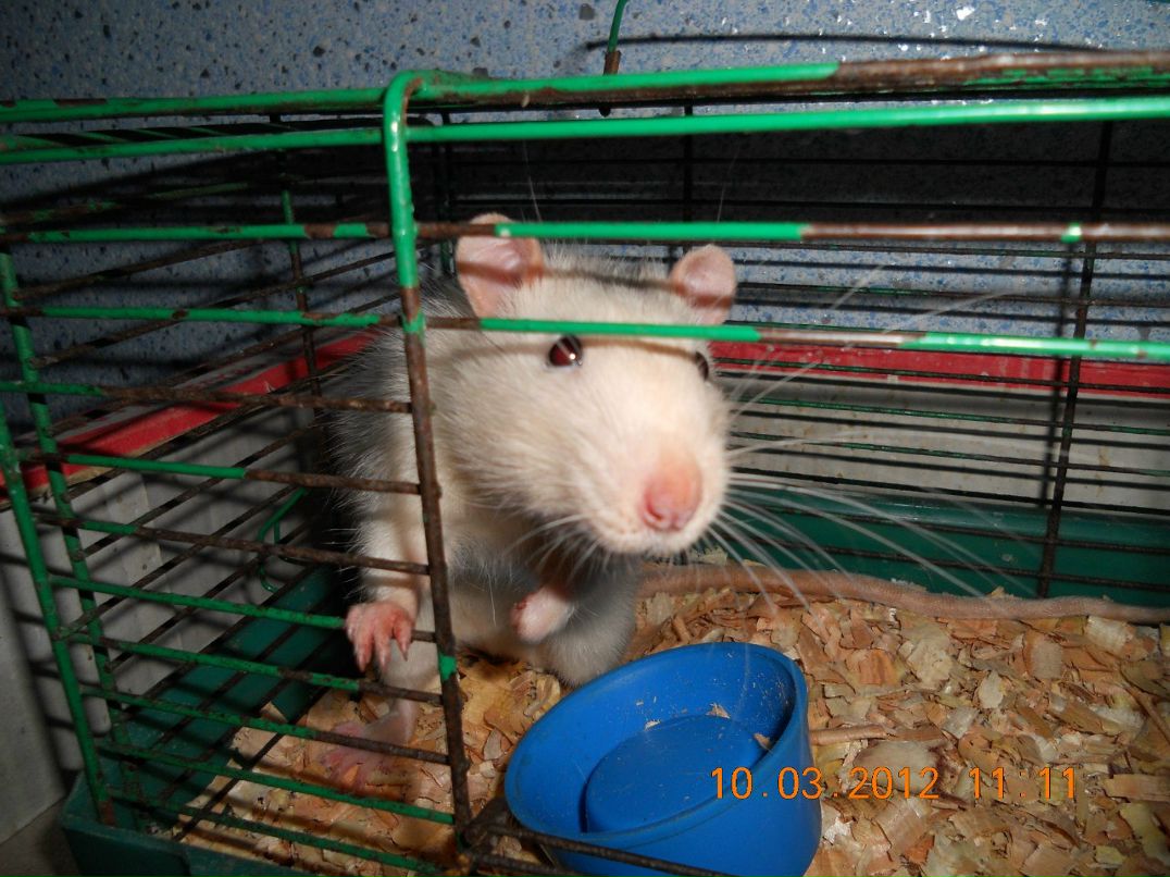 Ксюша Бандуровская | Москва