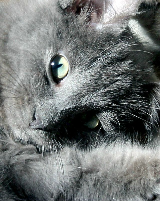 Айрат Насруллов | Буинск