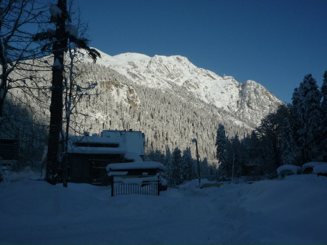 Елена Топчаева | Таганрог