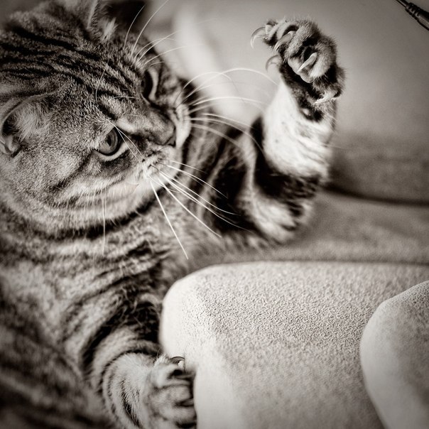 Екатерина Котенкова | Выборг