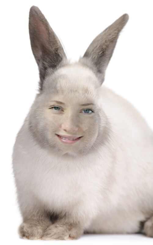 Анна Королева | 