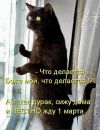 №1 Елена Ланевич 18.12.1987: профиль, фото, статус - ВКонтакте
