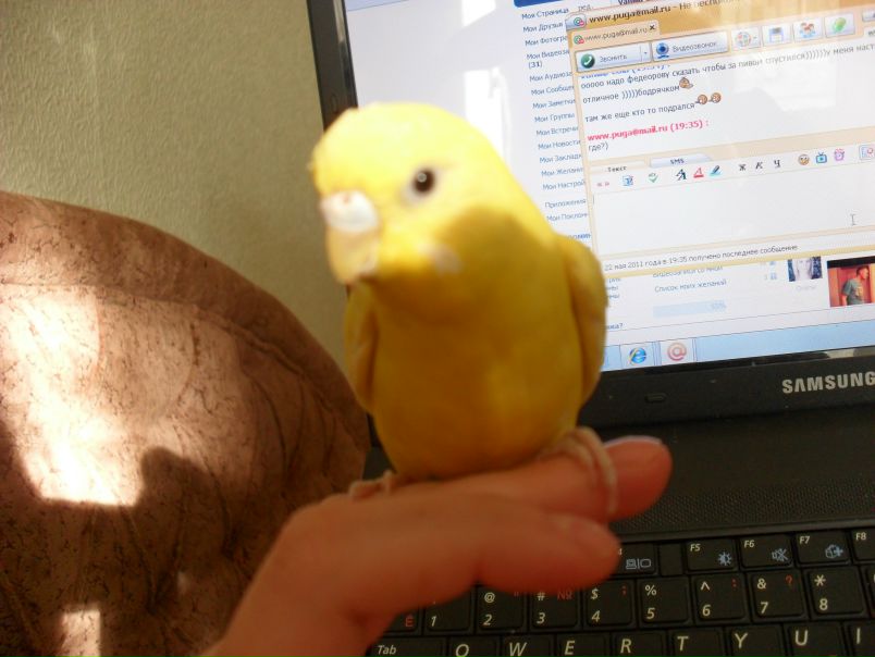 №4, Vanilla Cola, Москва №4, Vanilla Cola, Москва