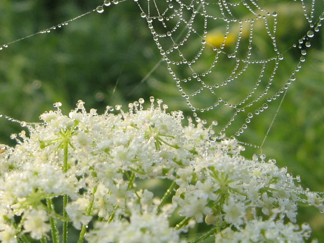 Нина Синикова | Новосибирск