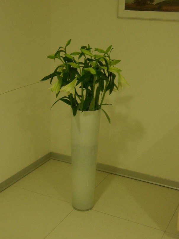 Ольга Пилявская | 