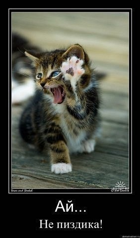 Александр Максимычев | Кстово