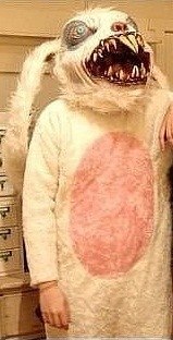 Екатерина Екатеряева | Новосибирск