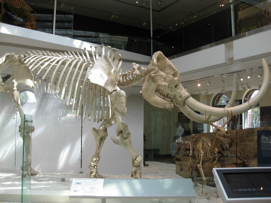 Елена Еремина | Барнаул