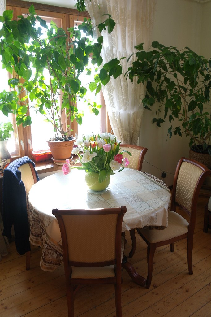 Ирина Краснова Андреевна | Москва