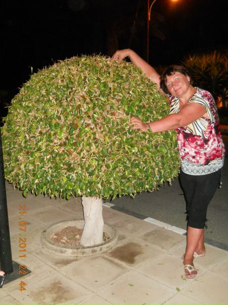 №16, Нина Федорова №16, Нина Федорова