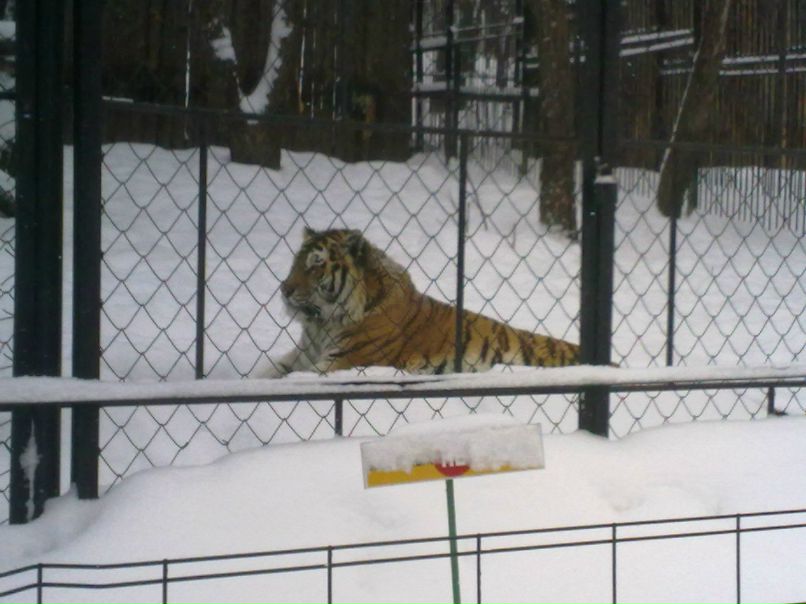 Валентин Пьянков | 