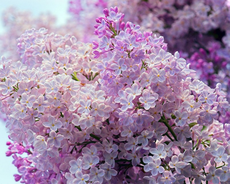 Анна Ситникова | Москва