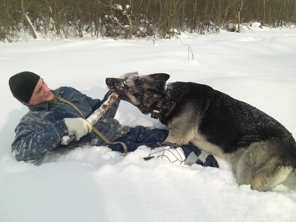 №64, Вячеслав Новожилов, Шлиссельбург №64, Вячеслав Новожилов, Шлиссельбург