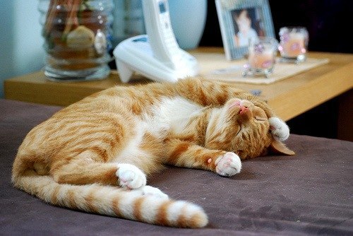 Наташечка Горбунова | Москва