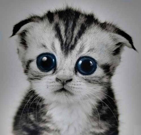 Антон Дрожжин | Санкт-Петербург