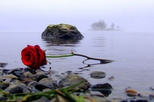 Анастасия Голубева (Паластрова) | Каменск-Уральский