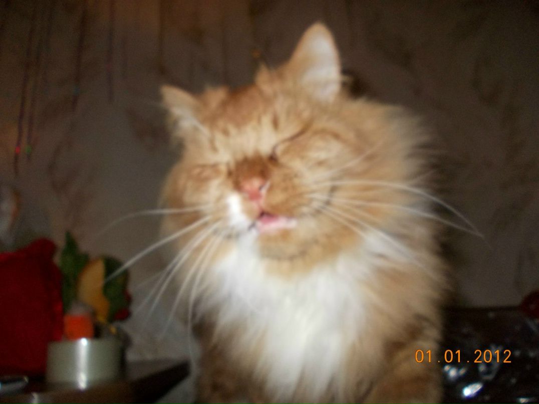 Максим Зайцев ЗдесьМоглаБытьВашаРеклама. | Череповец