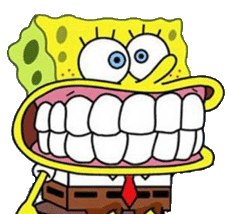 Андрей Соколов | Санкт-Петербург