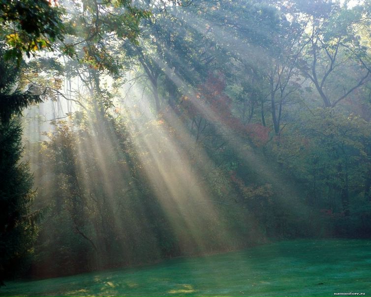 №27, Ирина Колосова, 47 лет, Москва №27, Ирина Колосова, 47 лет, Москва