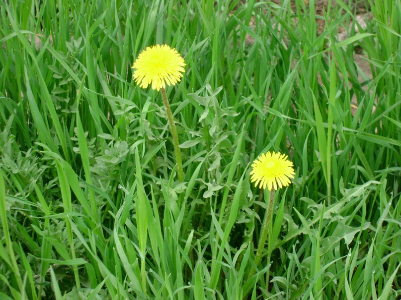 Юрий Аборнев | 