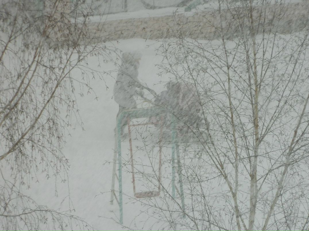 Алиска Додина | 