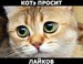 Артем Миронов фотография #43