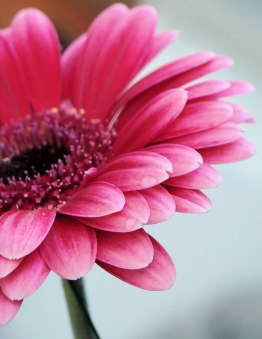 Маришка Капустинская | Москва