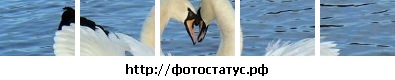 №24, Родика Панасюк, 34 года, Одесса №24, Родика Панасюк, 34 года, Одесса