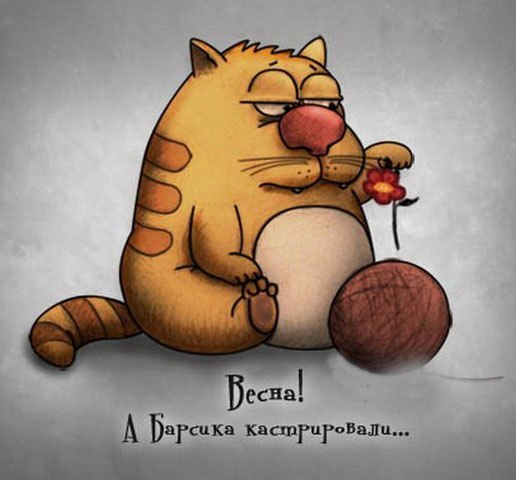 Кристина Небритова | Санкт-Петербург