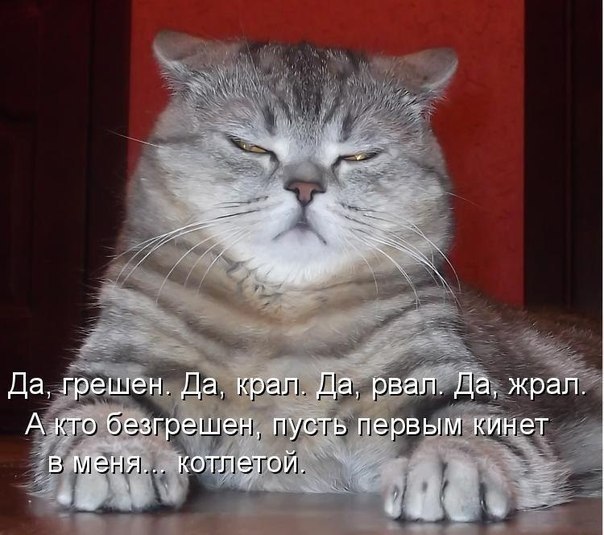 Ирина Володина | Глазов