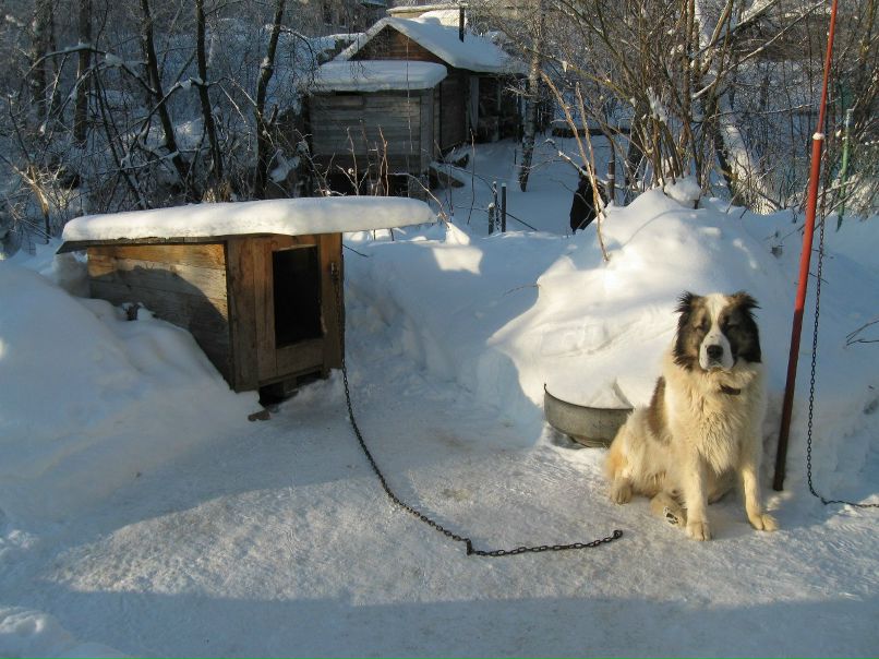 Сергей Соколов 