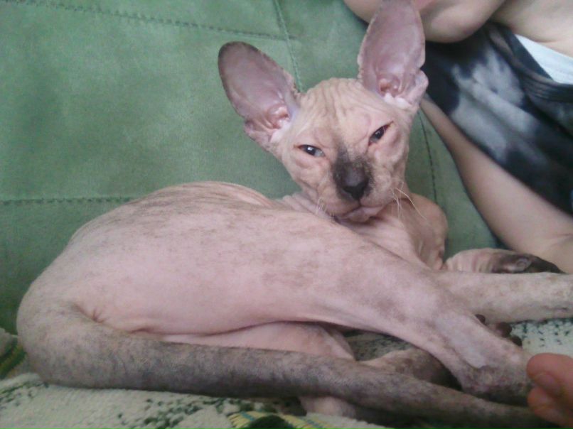 Алина Юсупова | Елабуга