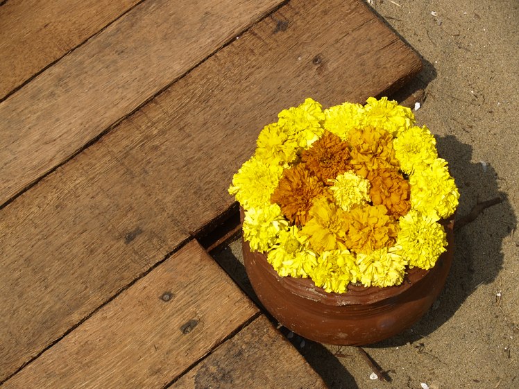 Оля Козыренко | Киев