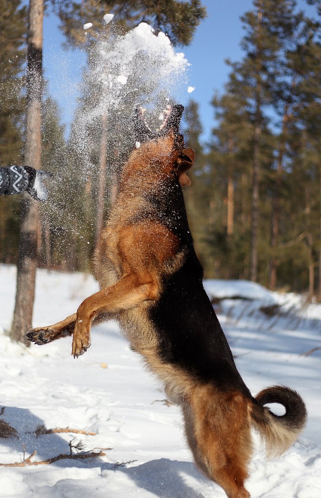 Марина Иванова | Улан-Удэ