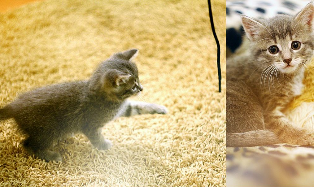 №16, Леся Дужник, 35 лет, Киев №16, Леся Дужник, 35 лет, Киев