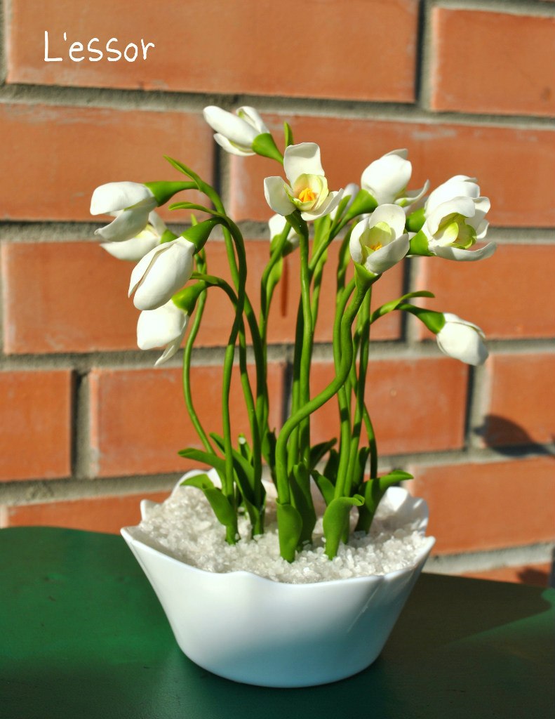 Елена Пугачёва | Ярославль