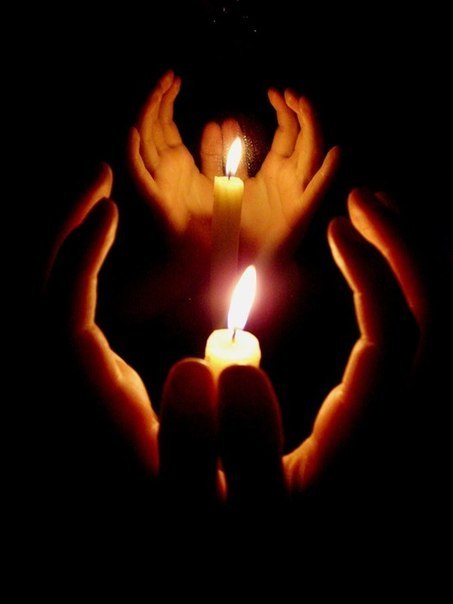 Алина Степанык-Козаченко | Николаев