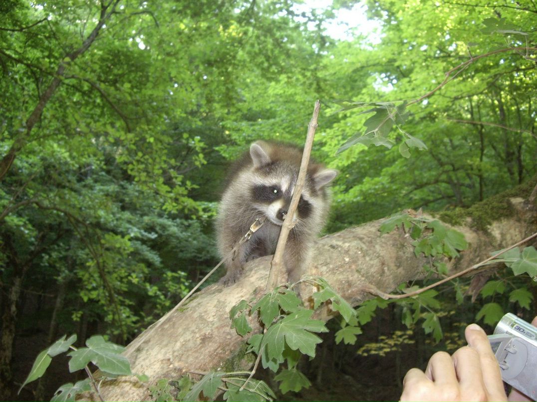 Алексей Поляков | Нижний Новгород