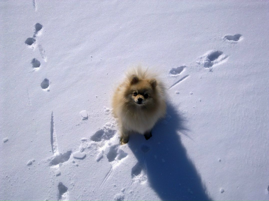 Ирина Василенко | Санкт-Петербург