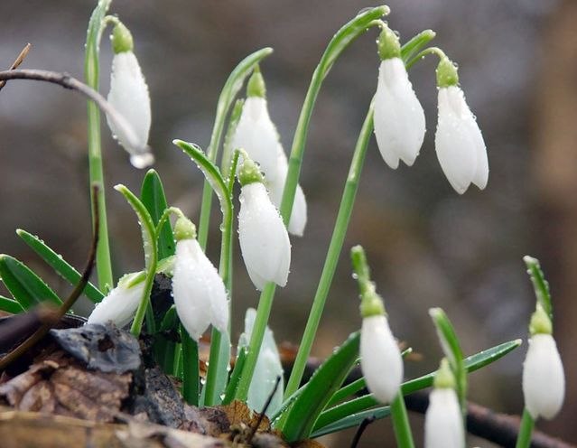 Аделина Ильдаровна | 